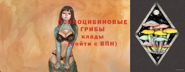 гидропоника Богородицк