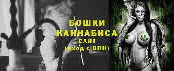 прущие грибы Богородск
