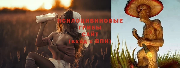 ECSTASY Бугульма