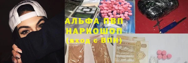 прущие грибы Богородск